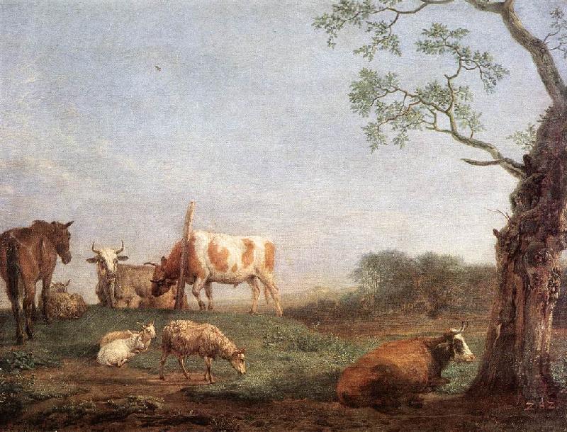 Resting Herd a, POTTER, Paulus